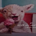 دانلود آهنگ بهترین حال جهان را دارم با صدای زن